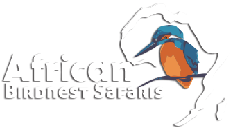 African Birdnest Safaris